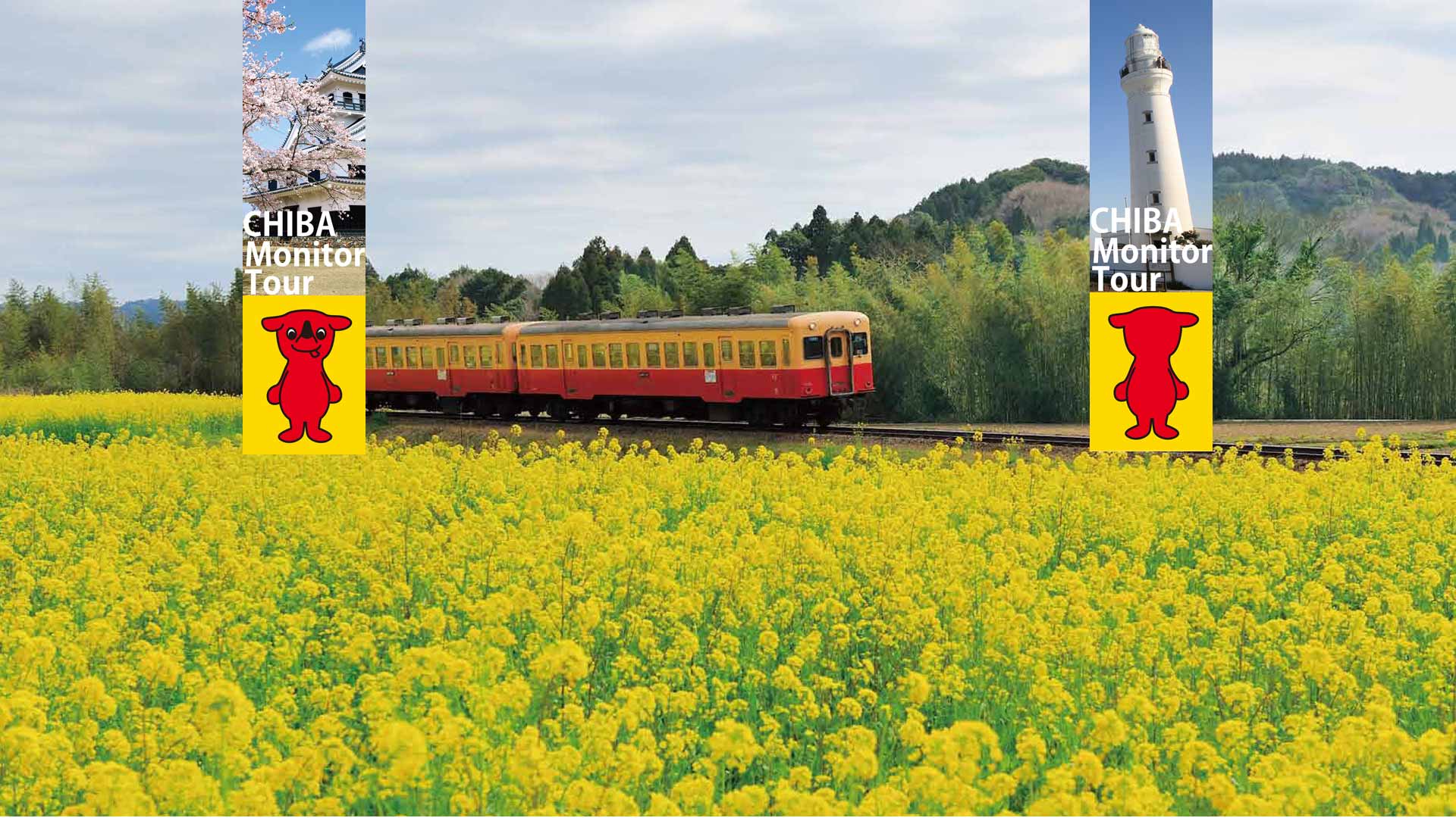 Monash advert ahmoi